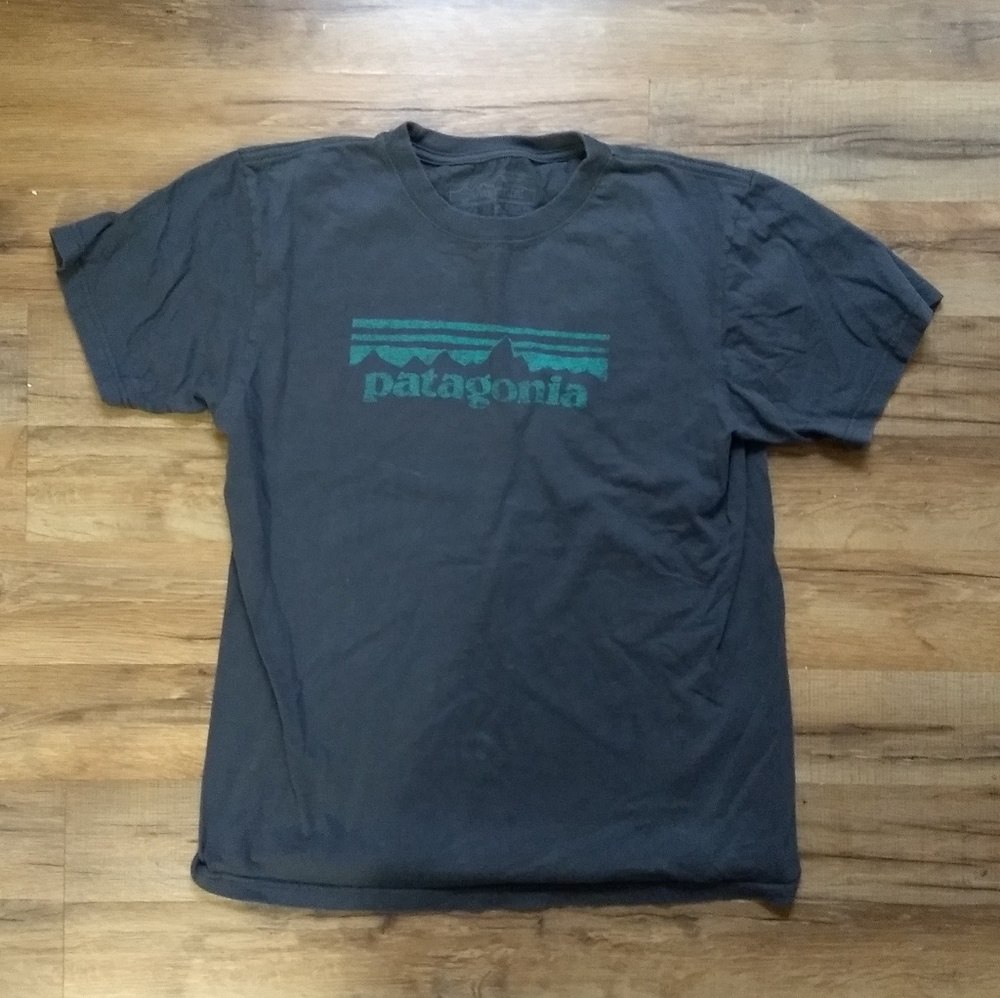 Patagonia Tee Men's M